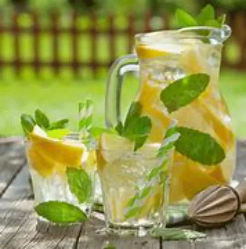 Mint Lemon Juice